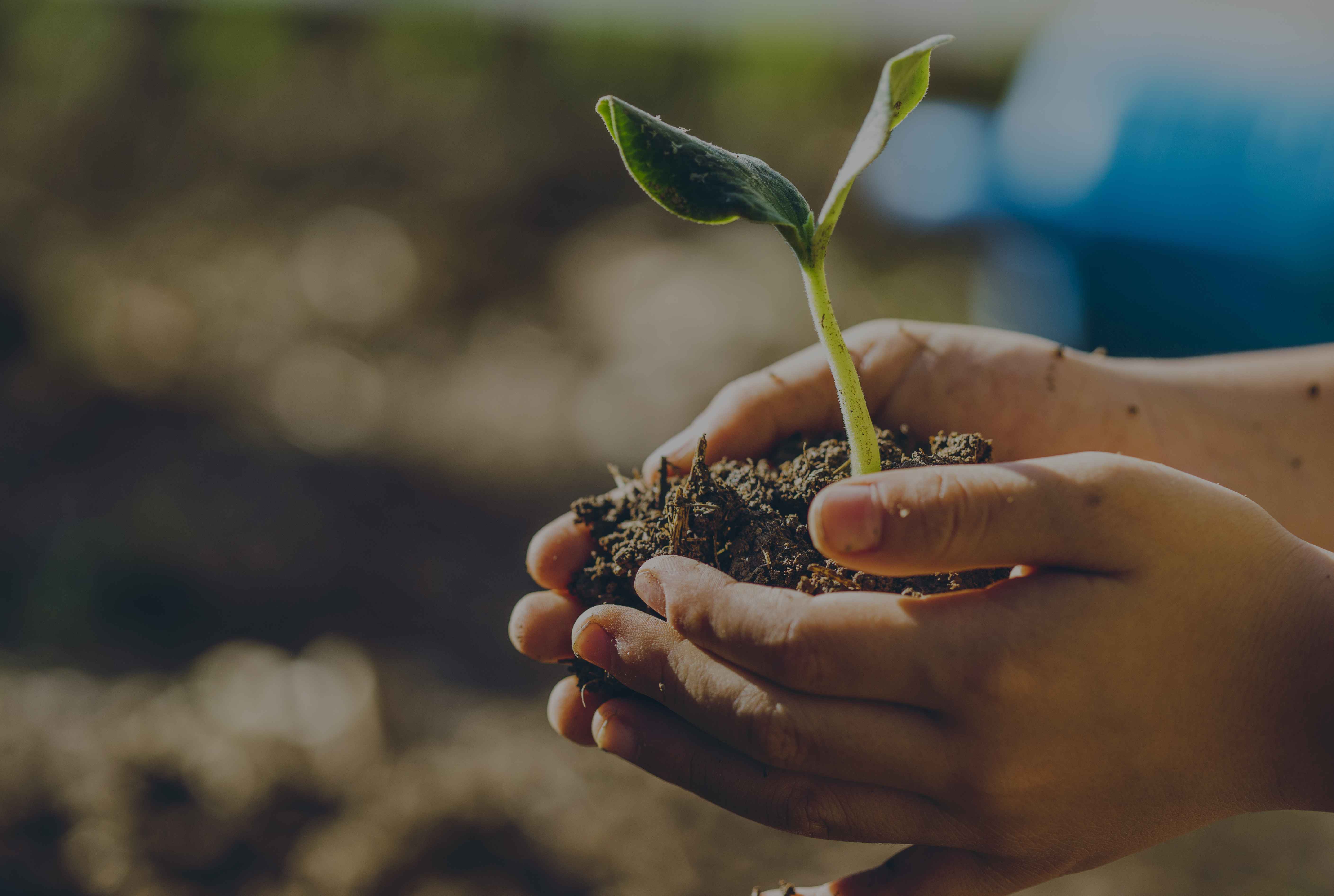 C – Evaluation of environmental improvement