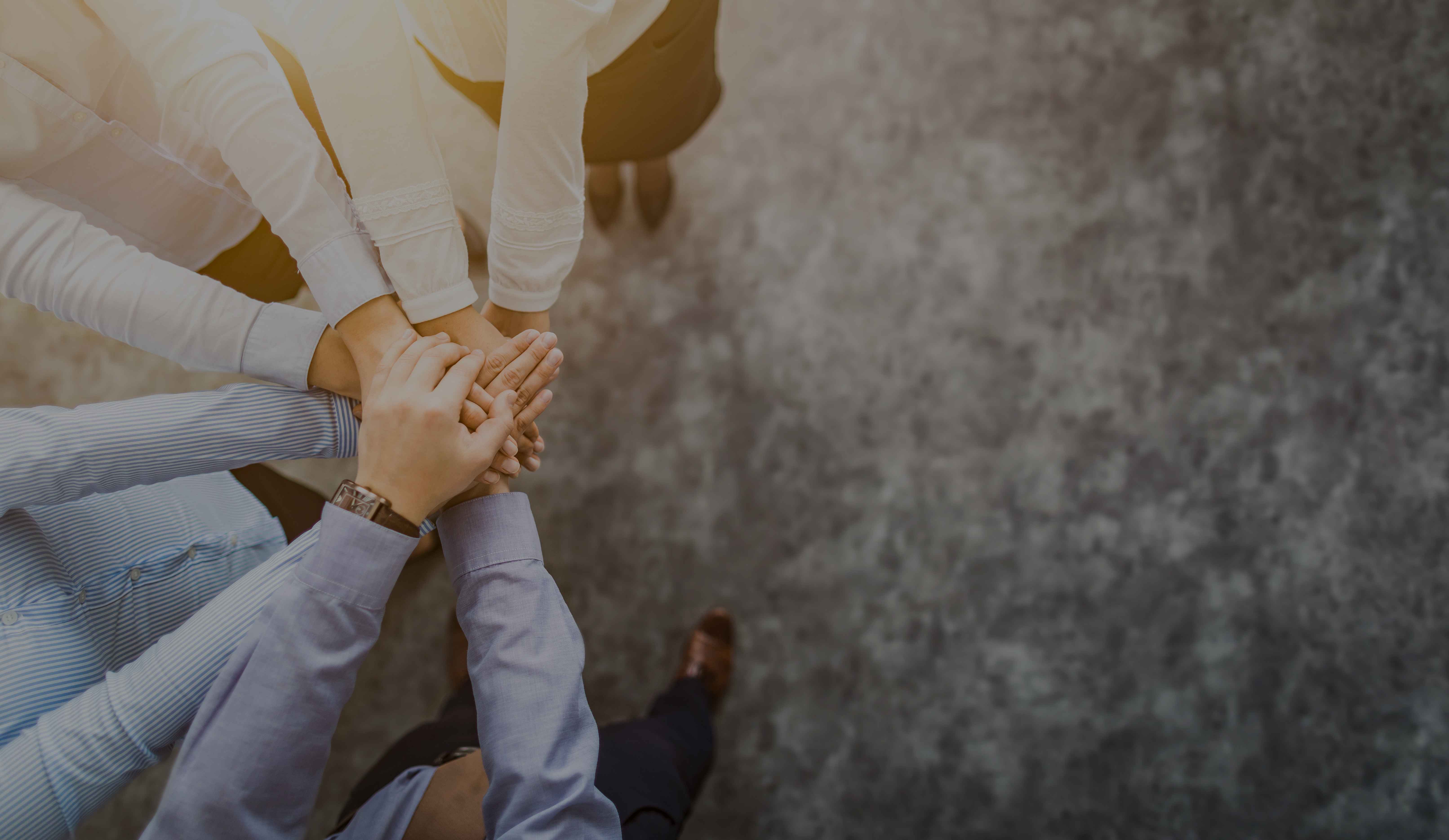 B – Definition of technical groups in the sector